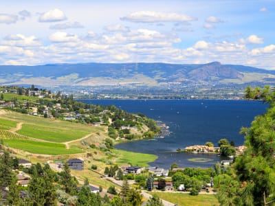 Navigating your new neighbourhood on moving day is made easy when you work with local West Kelowna movers like Bighorn Moving and Storage. 